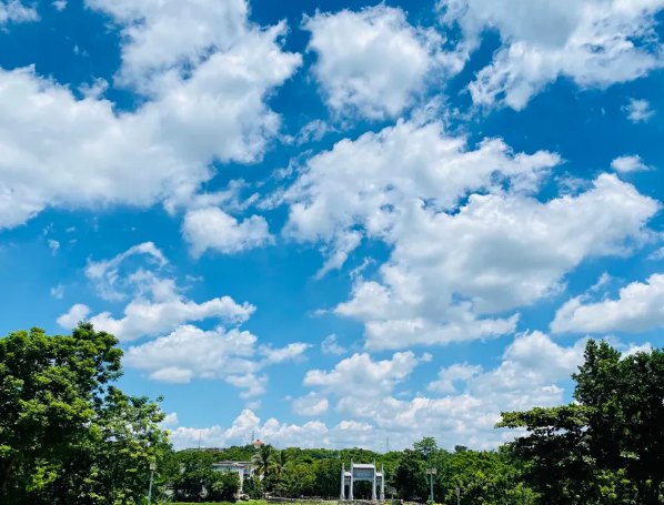 海南：放寬社會資本進(jìn)入農(nóng)村的限制！中國大農(nóng)場時代來臨？(圖1)